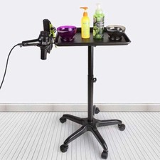 Adjustable Height Hair Salon