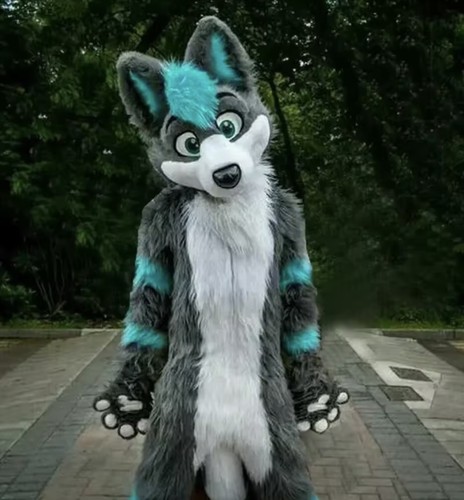 Fursuit complete costume grey - complete,