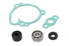 AS3 WATER PUMP REPAIR KIT for