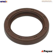 SHAFT SEAL CRANKSHAFT NA5190