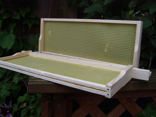 Sn4 national wbc frames with - sn4,