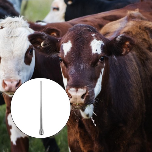 Calf milk feeder - ,