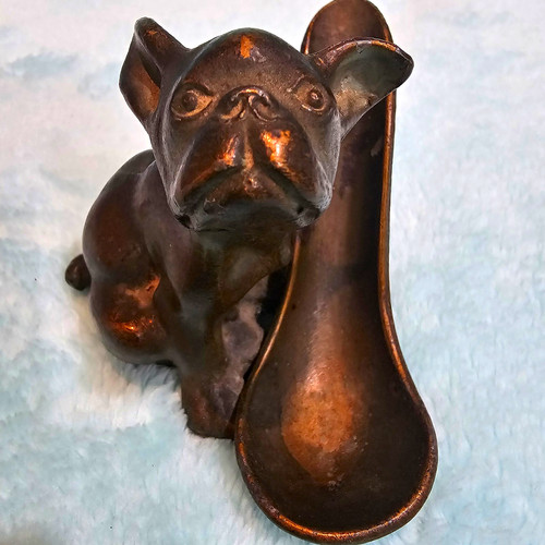 French bulldog dog - french,