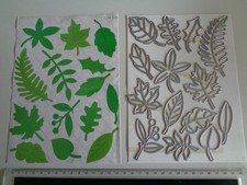 Xcut Assorted Leaves - Craft