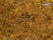 Aquarium NEON, CICHLID GUPPY