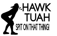 Hawk Tuah vinyl sticker car decal  window spit on that thang thing 5.5”x3.5”