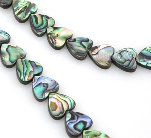 Green abalone shell mother - abalone,