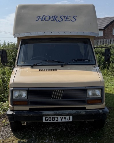 Fiat ducato tonne horsebox - fiat,