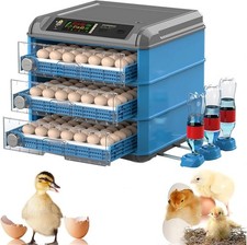 Automatic Digital Incubator