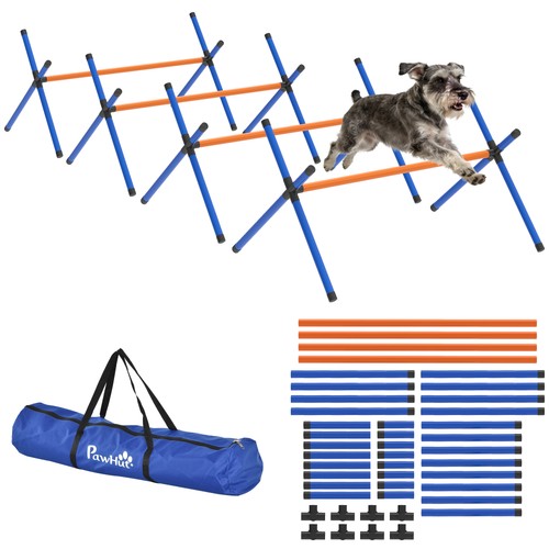 Dog agility equipment - dog,
