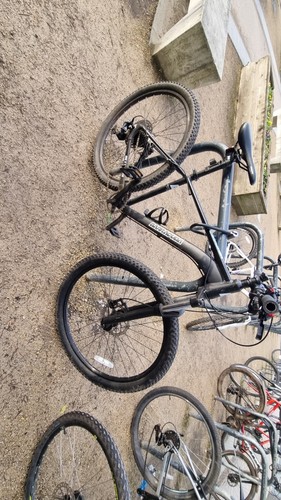 Baracuda moumtain bike - bike, bicycle