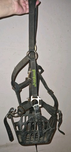 Greenguard grazing muzzle - muzzle, &