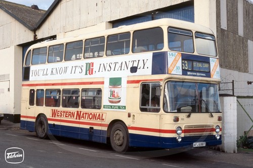 Bus photo western national - photo,