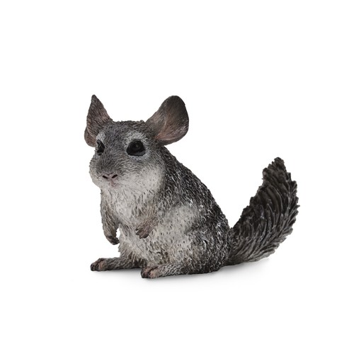 Collecta long tailed - collecta, long-tailed
