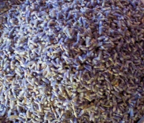 Dried lavender flowers extra - lavender, flowers,