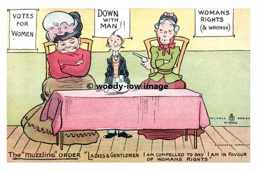Rp17331 suffragette comic - rp17331,