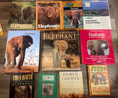 Elephant book lot - elephant,
