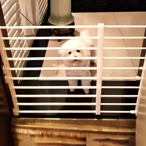 Adjustable dog fence - fence,