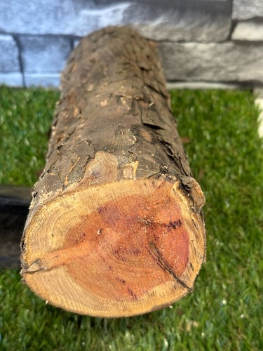 Year air dried yew - dried,