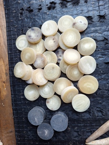 Beautiful horn spacers for - horn,