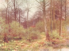 SURREY. Gamekeeper's Cot 1912