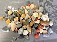 PREMIUM GLOSSY  Fish Tank