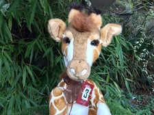 Charlie Bears Reech The