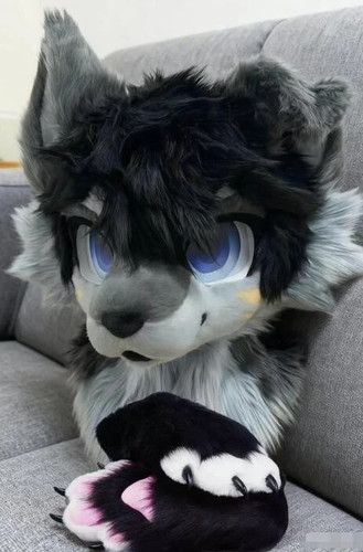 Fursuit long haired dog fox - haired,