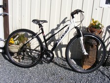 FANTASTIC LADIES CARRERA