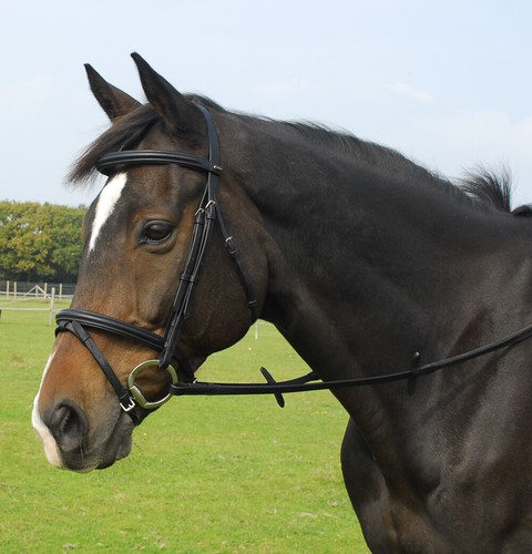 Heritage leather horse bridle - leather,
