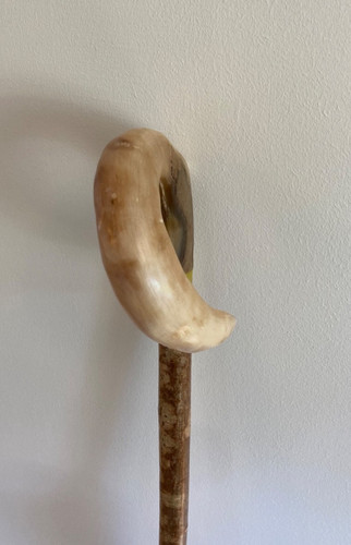 Lovely rams horn curly crook - horn,