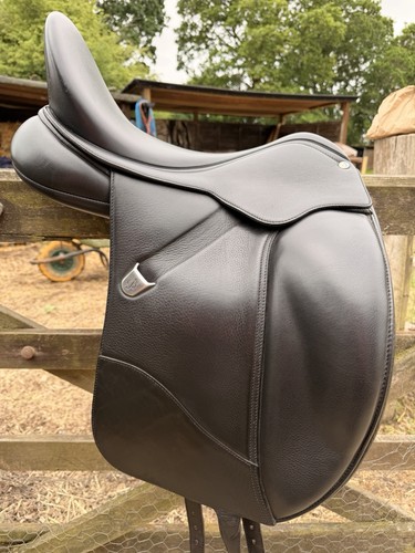 Bates dressage cair - dressage,