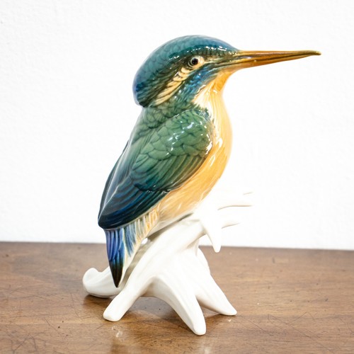 Stunning karl ens - ens, kingfisher