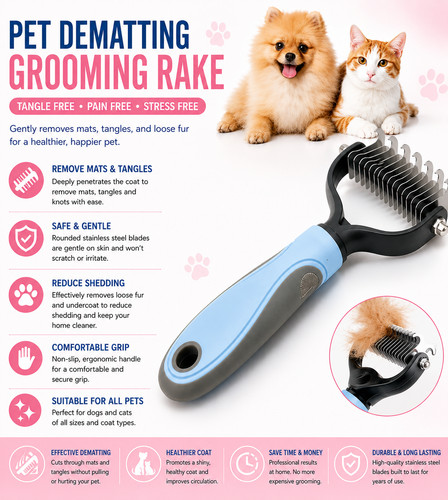 Professional pet deshedding - pet,