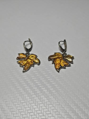 Genuine baltic honey - honey, amber