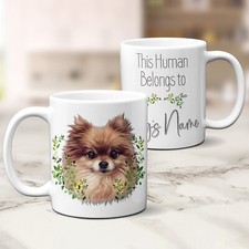 Personalised Pomeranian Dog