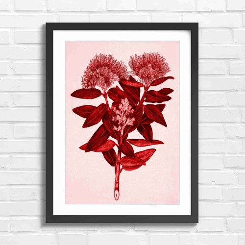 Vintage botanical red flower - red,