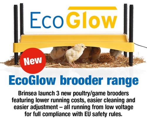 Brinsea ecoglow 1200 chick - brinsea,