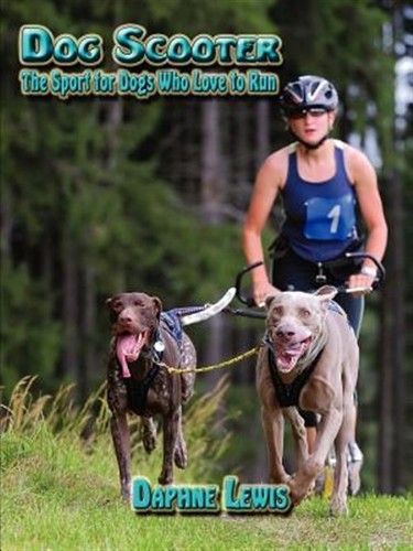 Dog scooter the - dog, :