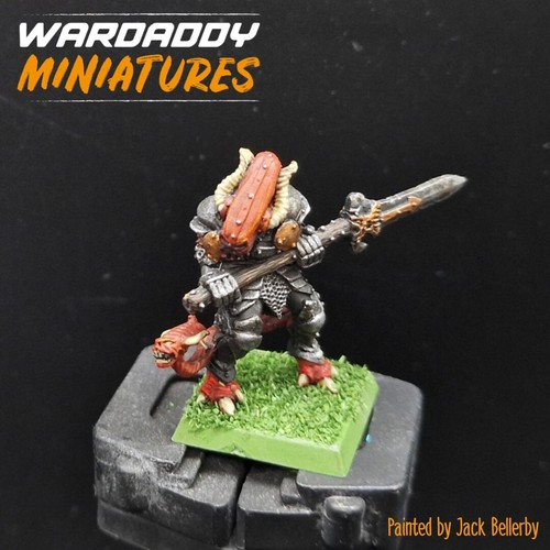 Pro painted warhammer - pro,