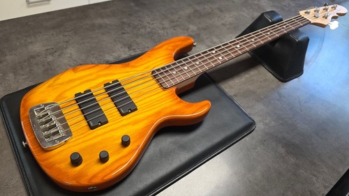 5500 bass 5 - g&l,