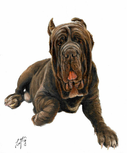 Original oil portrait - original,