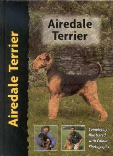 Airedale terrier hugh - by,