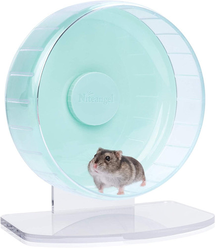 Super silent hamster exercise - hamster,