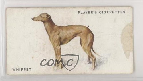 1931 player dogs - 1931, from