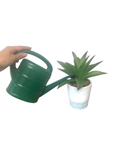 Watering can gardeners garden - watering,