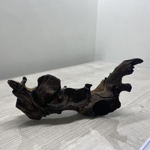 Fish tank bogwood aquarium - tank,