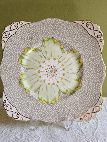 Tuscan fine bone china - fine,