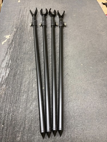 Carp fishing large - 4,