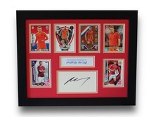 Matthijs de Ligt Framed